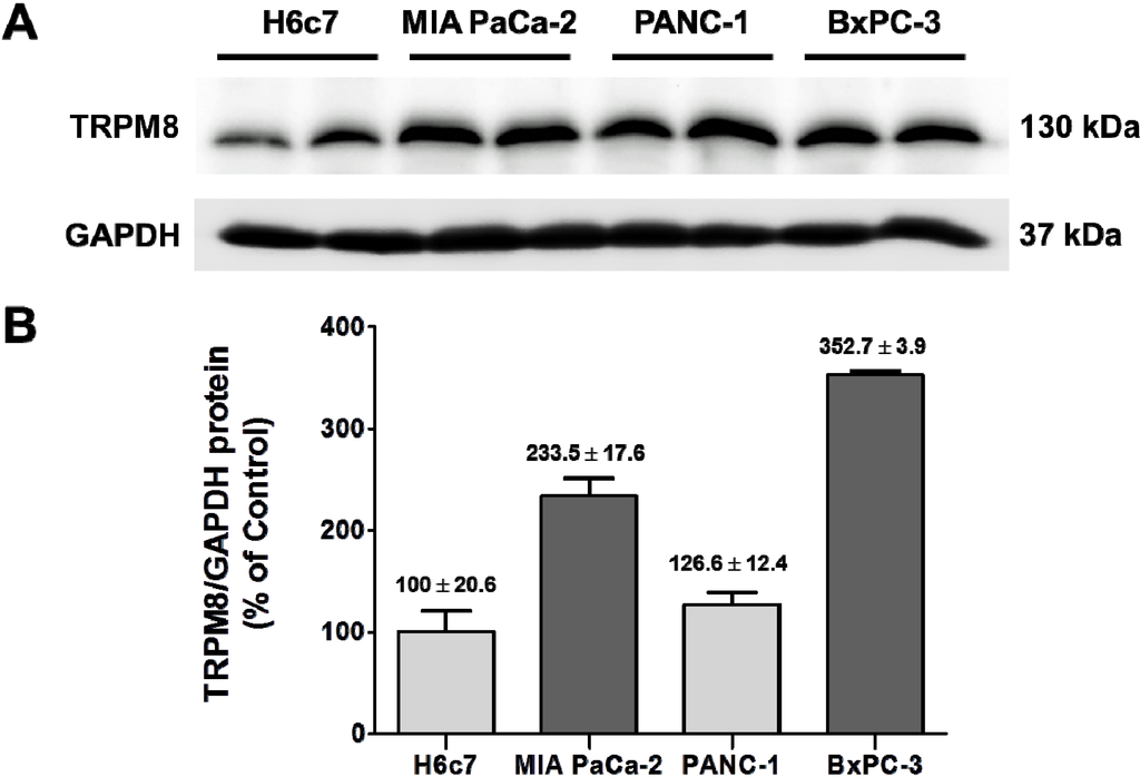 Cells 03 00500 g005 1024