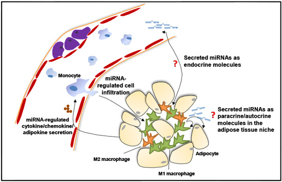 Cells 03 00702 g002 550