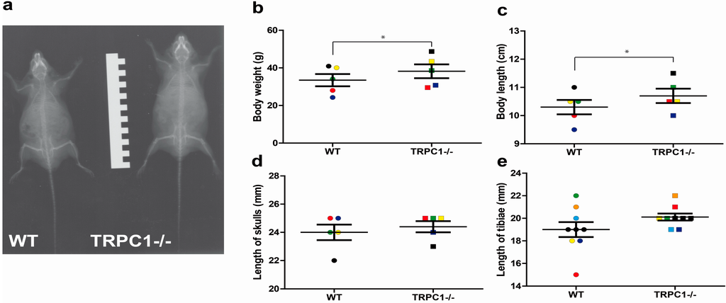 Cells 03 00939 g002 1024