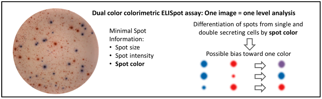 Cells 03 01102 g001 1024