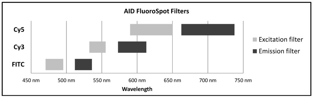 Cells 03 01102 g004 1024