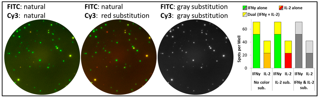 Cells 03 01102 g006 1024