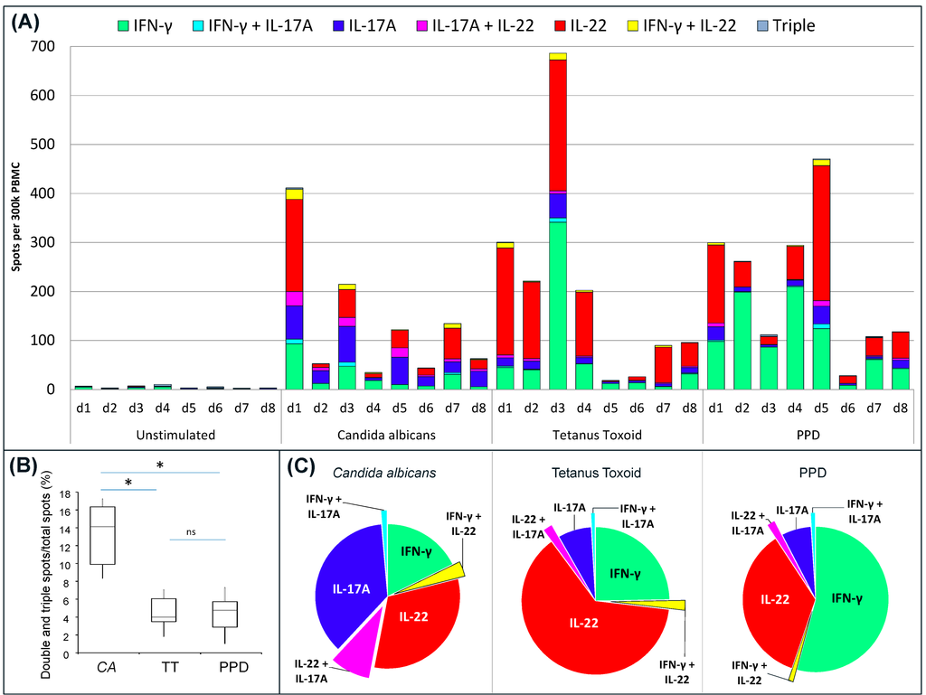 Cells 03 01116 g003 1024
