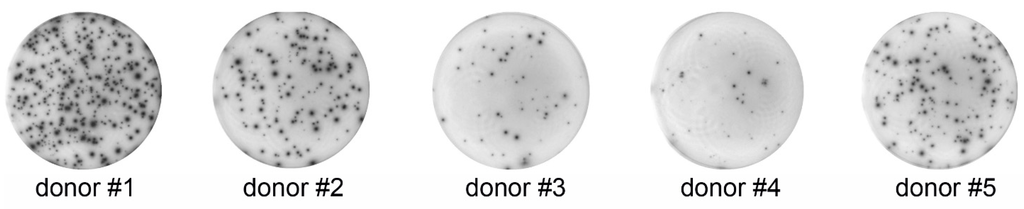 Cells 04 00084 g001 1024