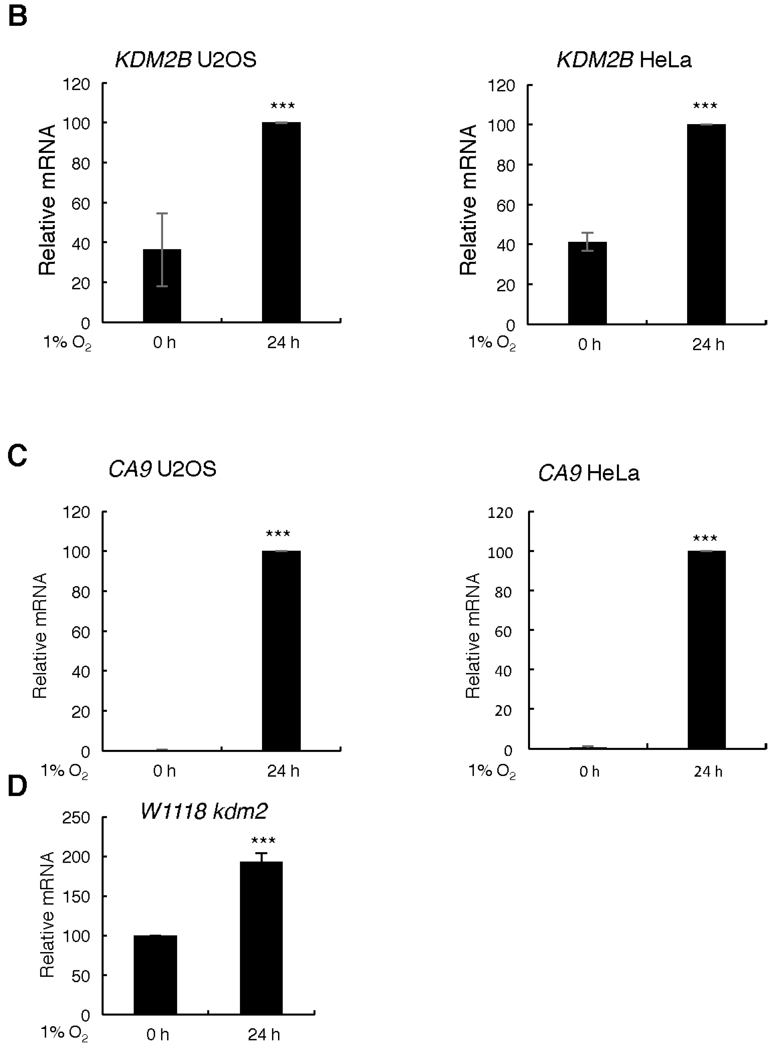 Cells 06 00008 g001b