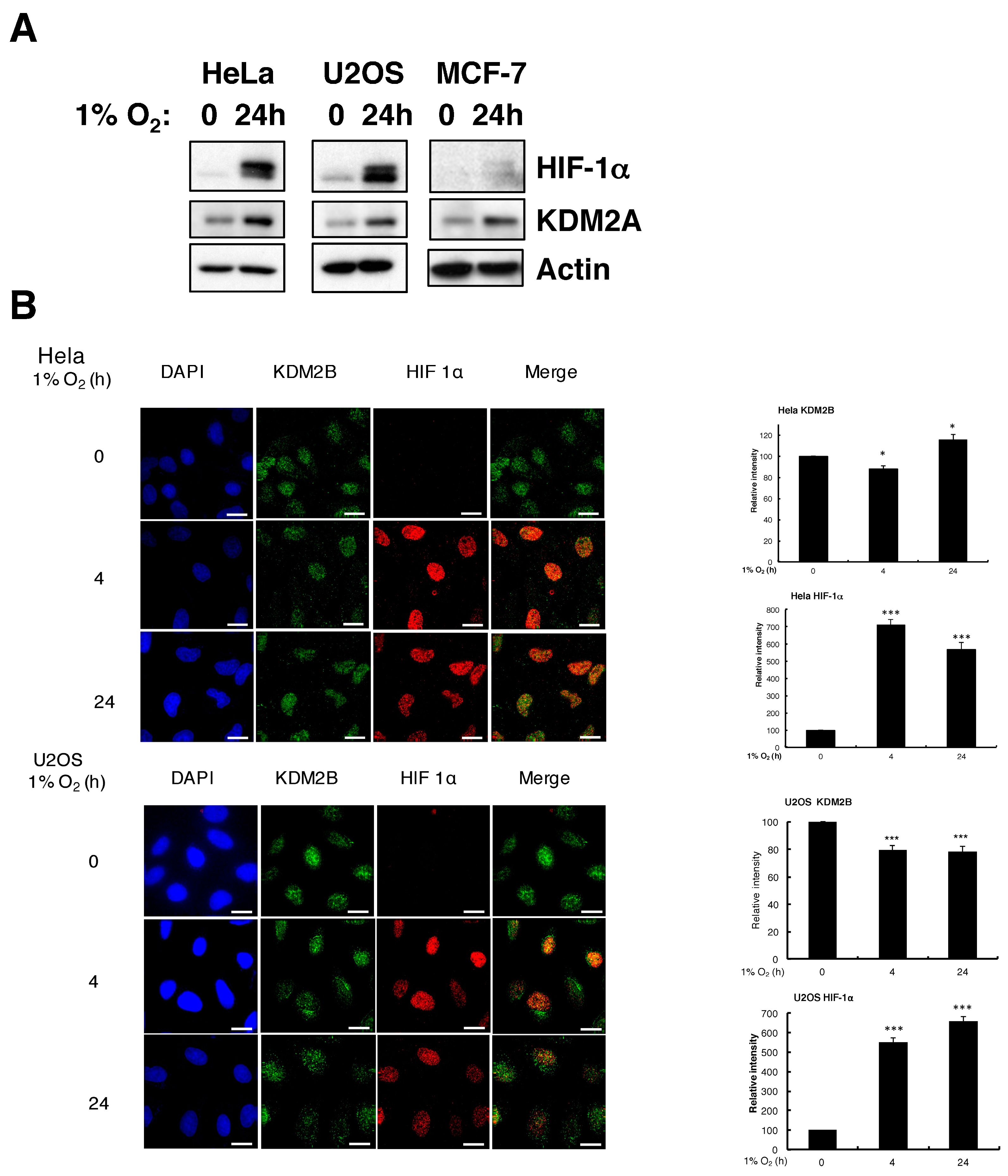 Cells 06 00008 g002a