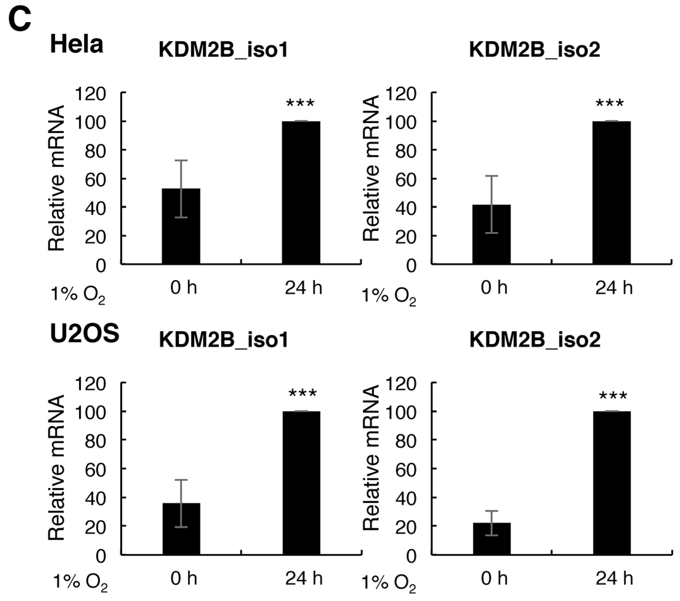 Cells 06 00008 g002b
