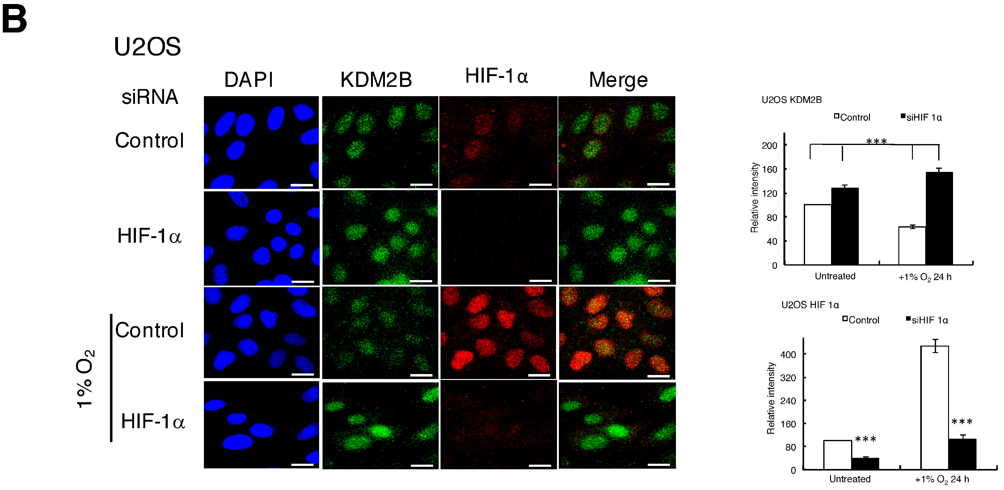 Cells 06 00008 g003b