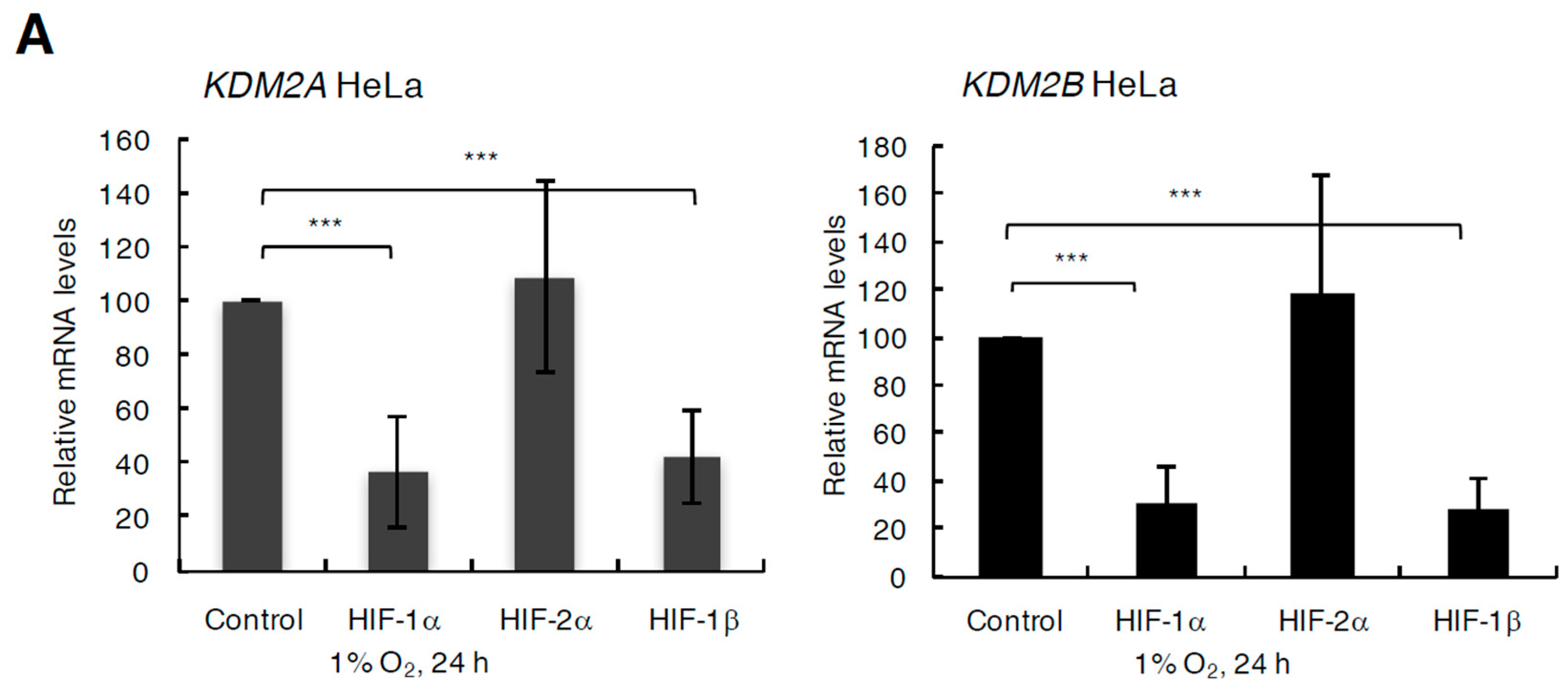Cells 06 00008 g004a