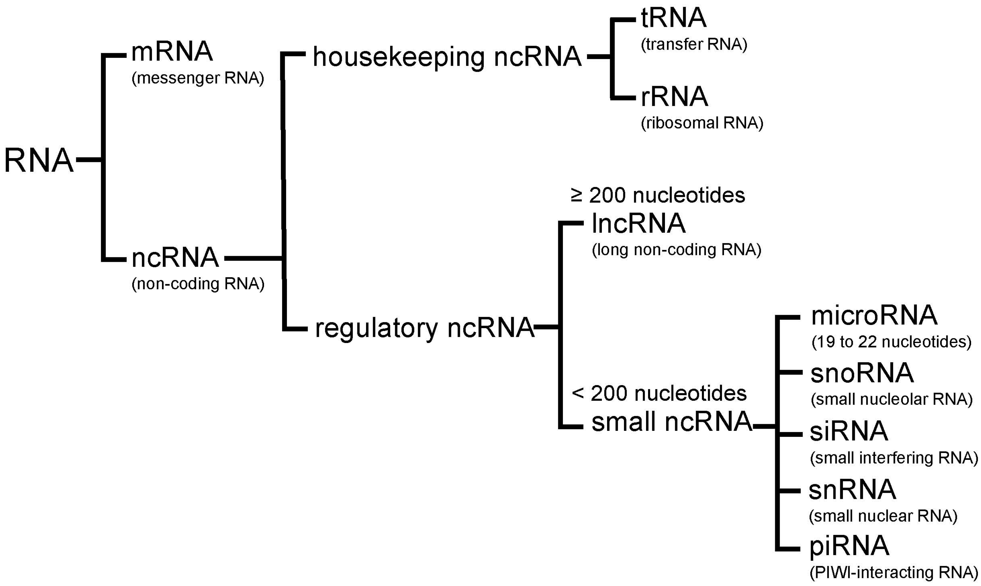 Cells 06 00012 g001 Cells 06 00012 g001