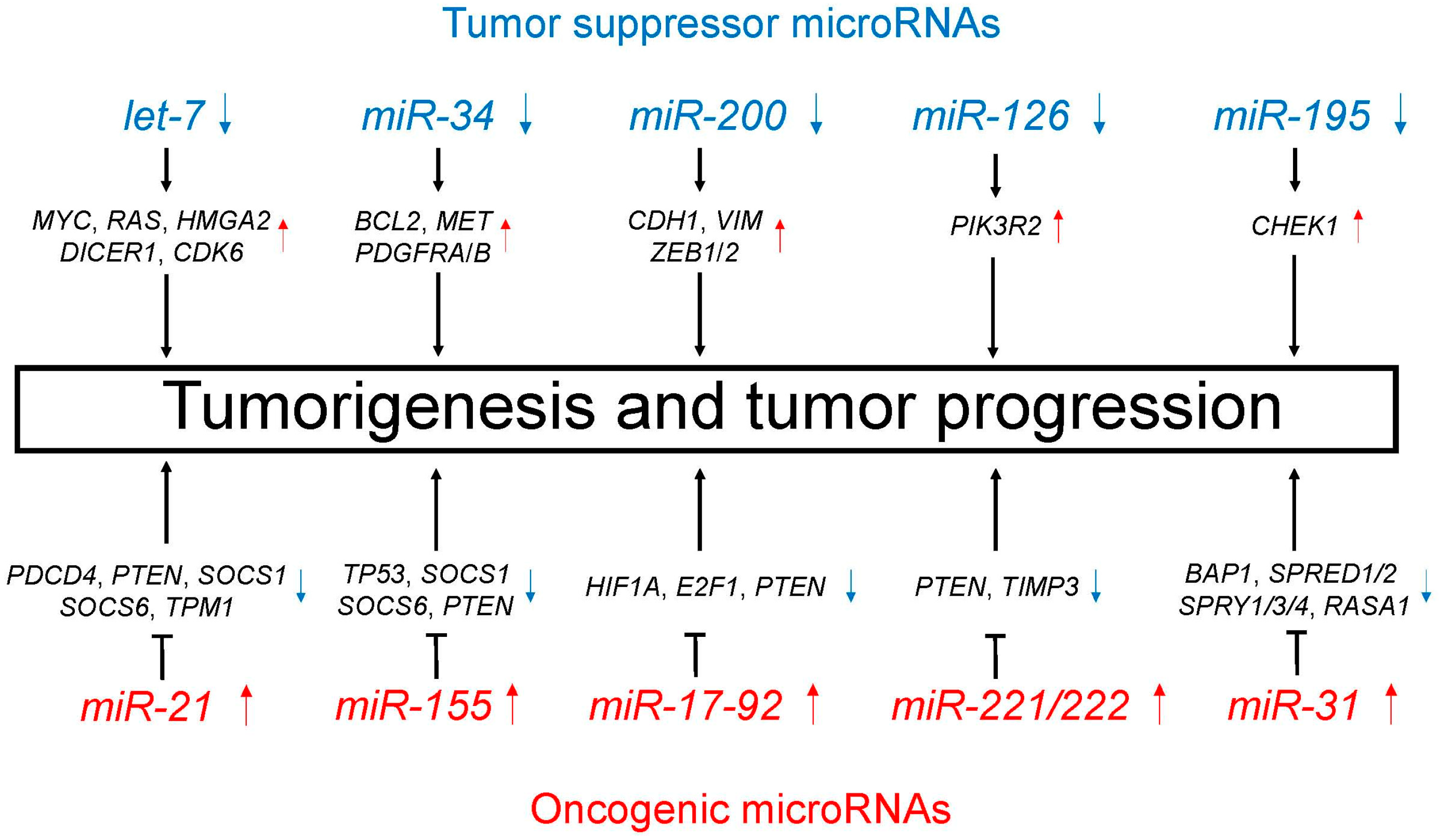 Cells 06 00012 g002 Cells 06 00012 g002