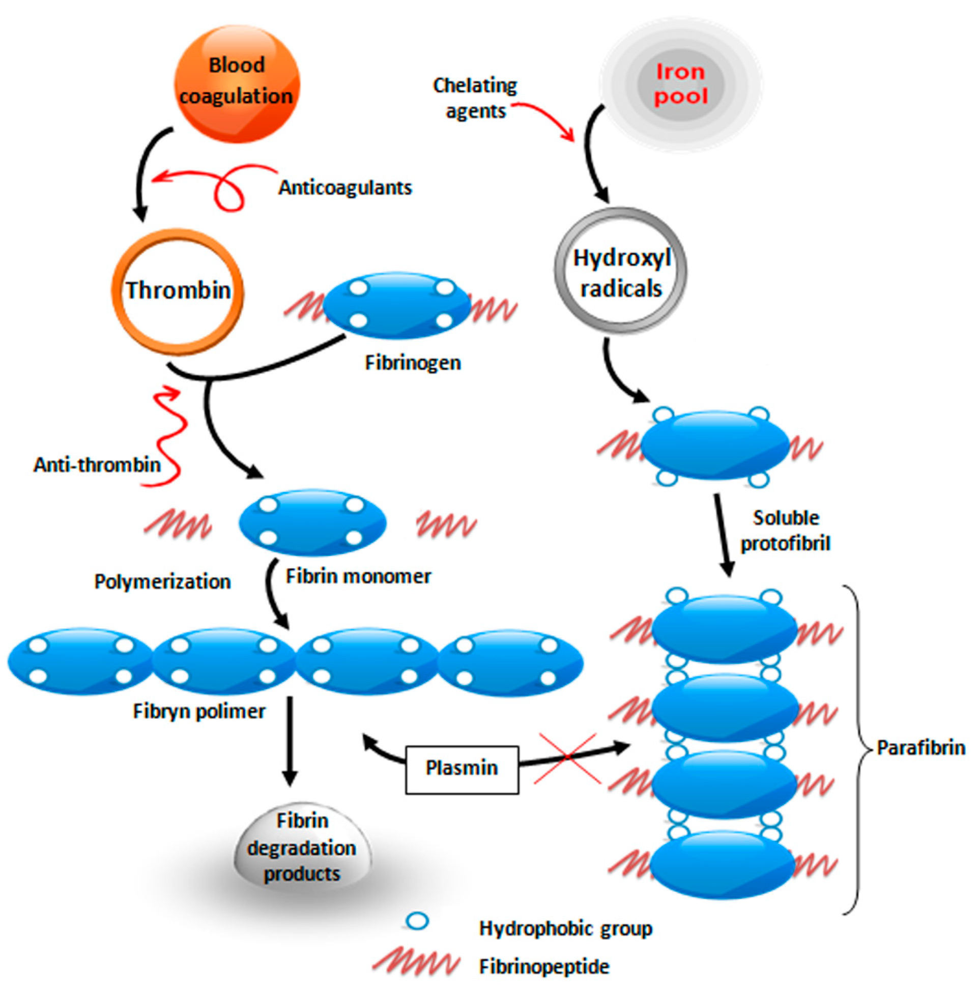 Cells 06 00039 g001 Cells 06 00039 g001