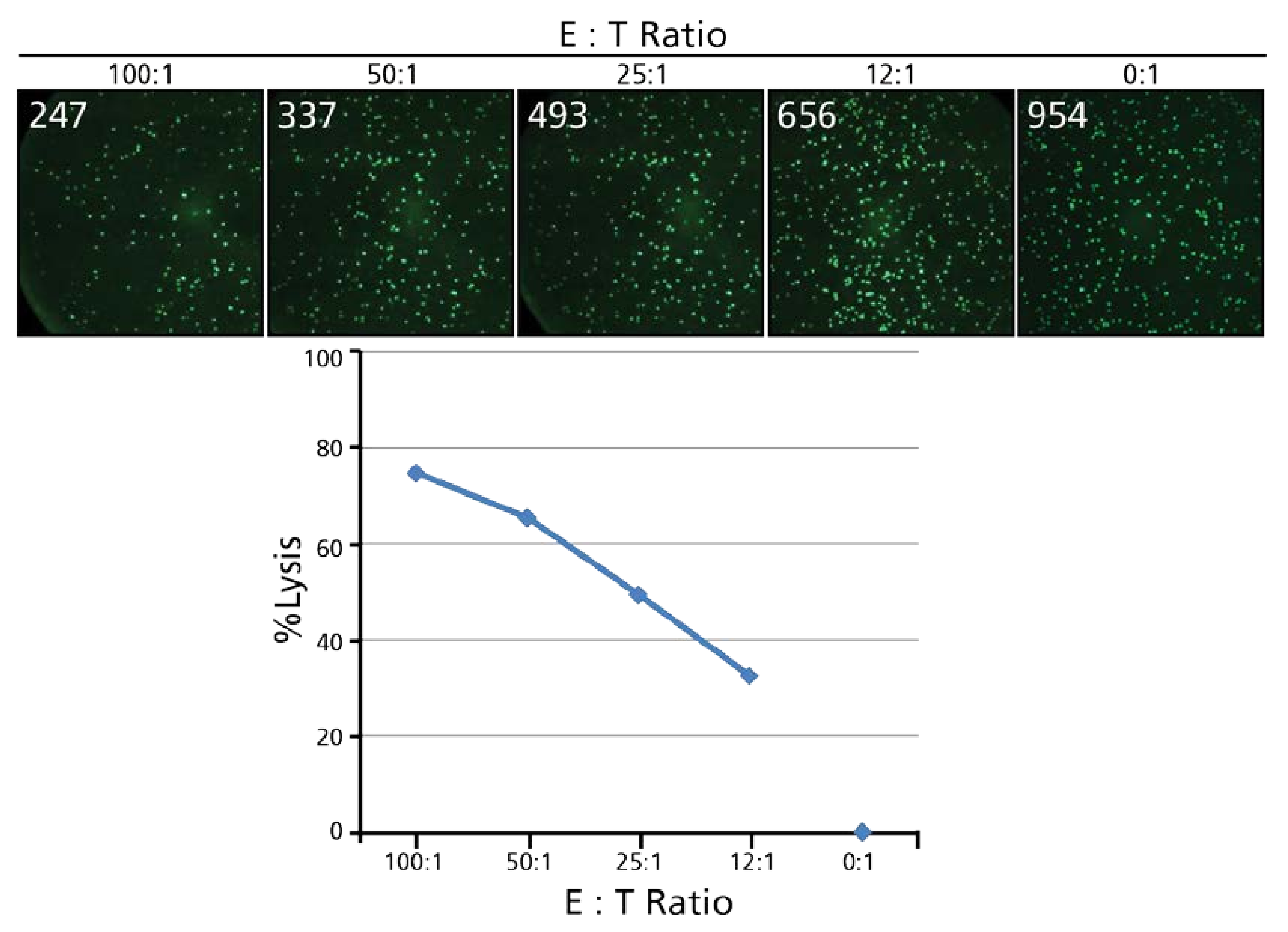 Cells 07 00035 g002
