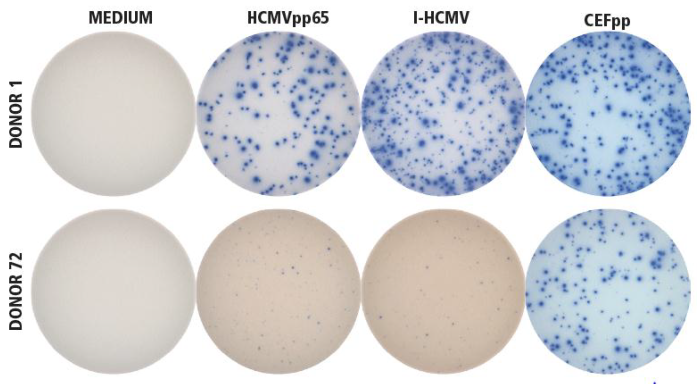 Cells 07 00045 g001