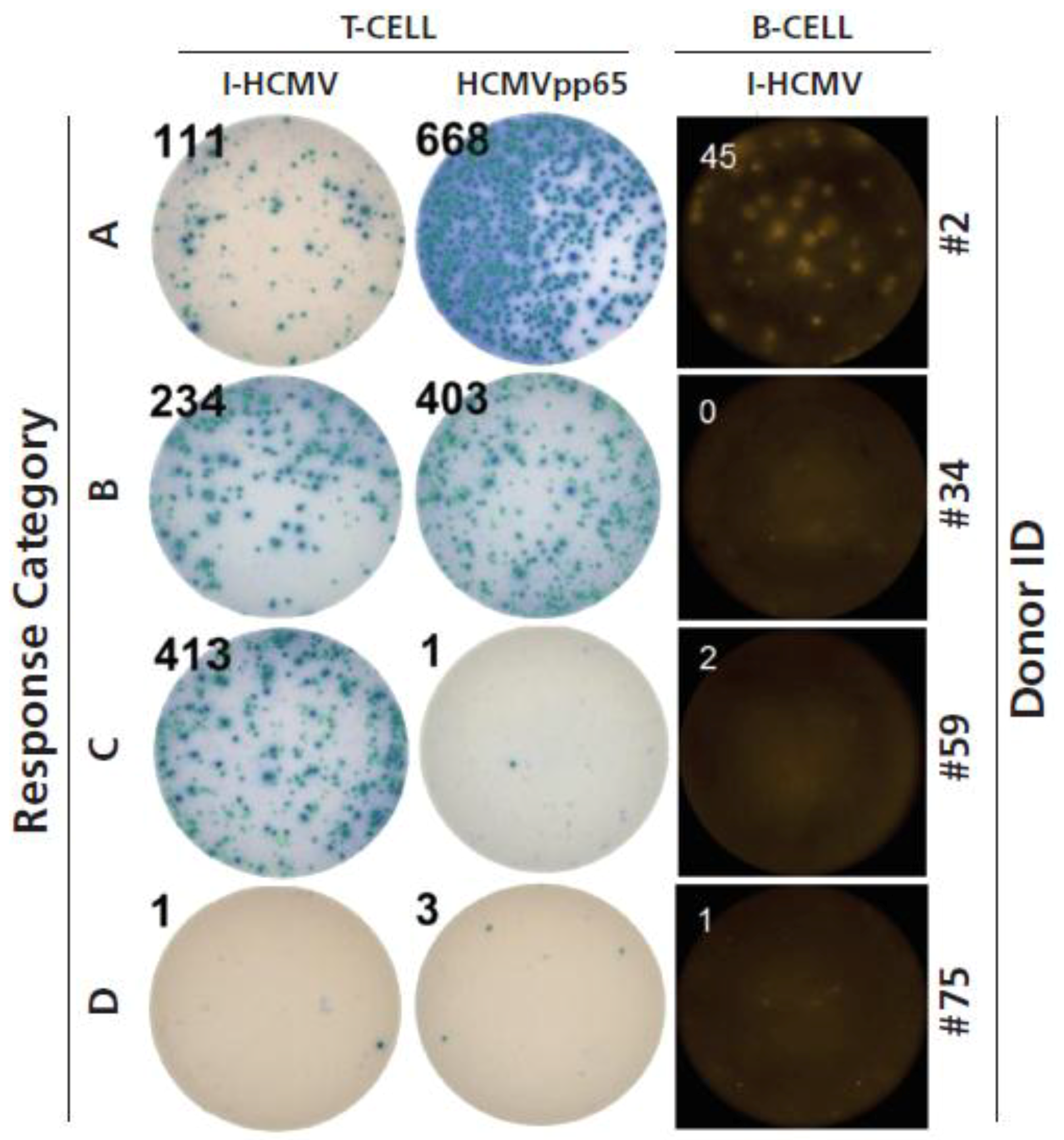 Cells 07 00045 g004