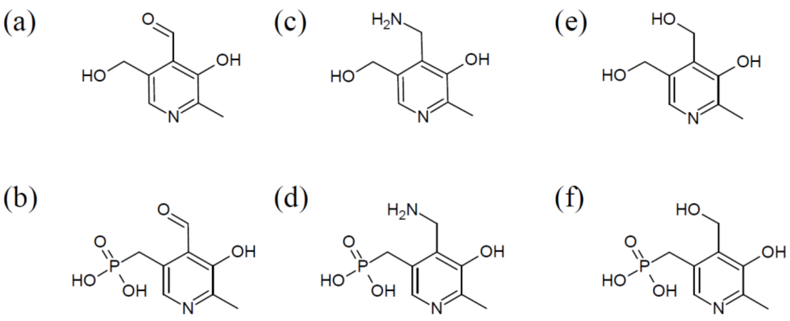 Cells 07 00084 g001 Cells 07 00084 g001
