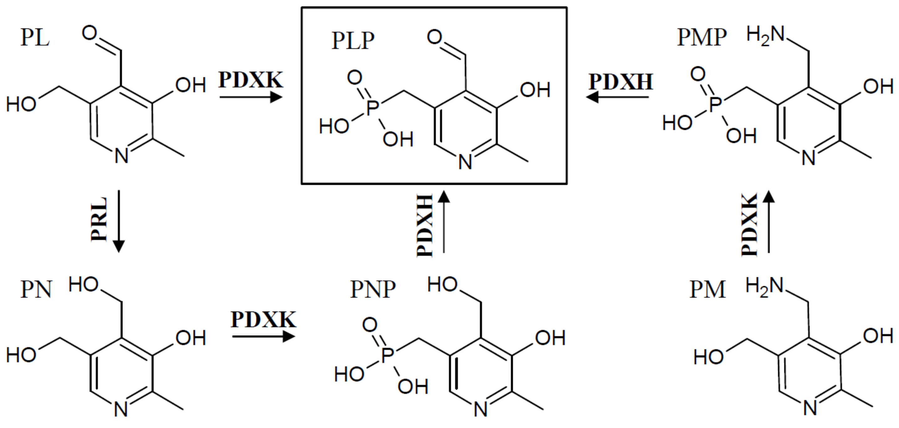 Cells 07 00084 g003 Cells 07 00084 g003
