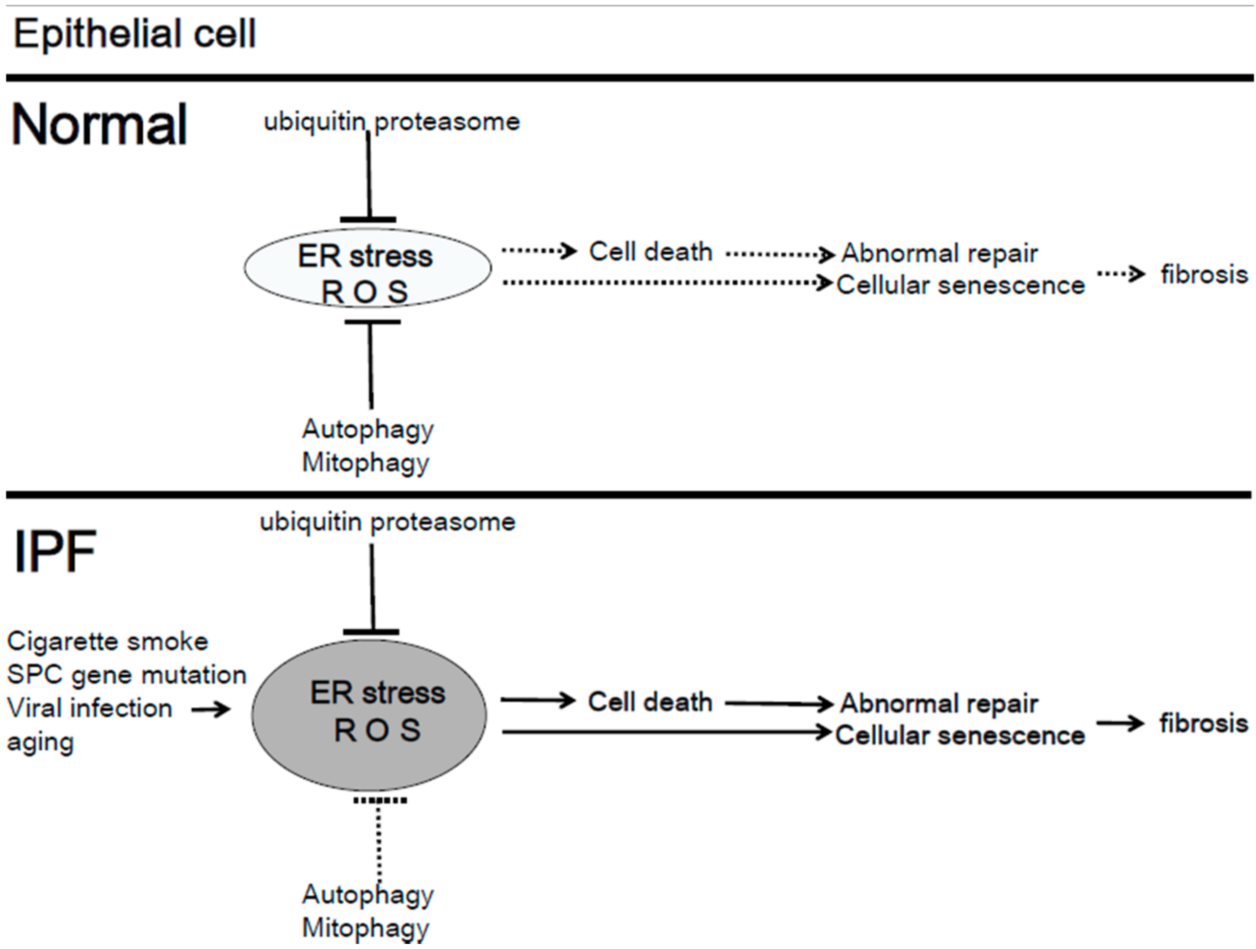 Cells 07 00086 g003