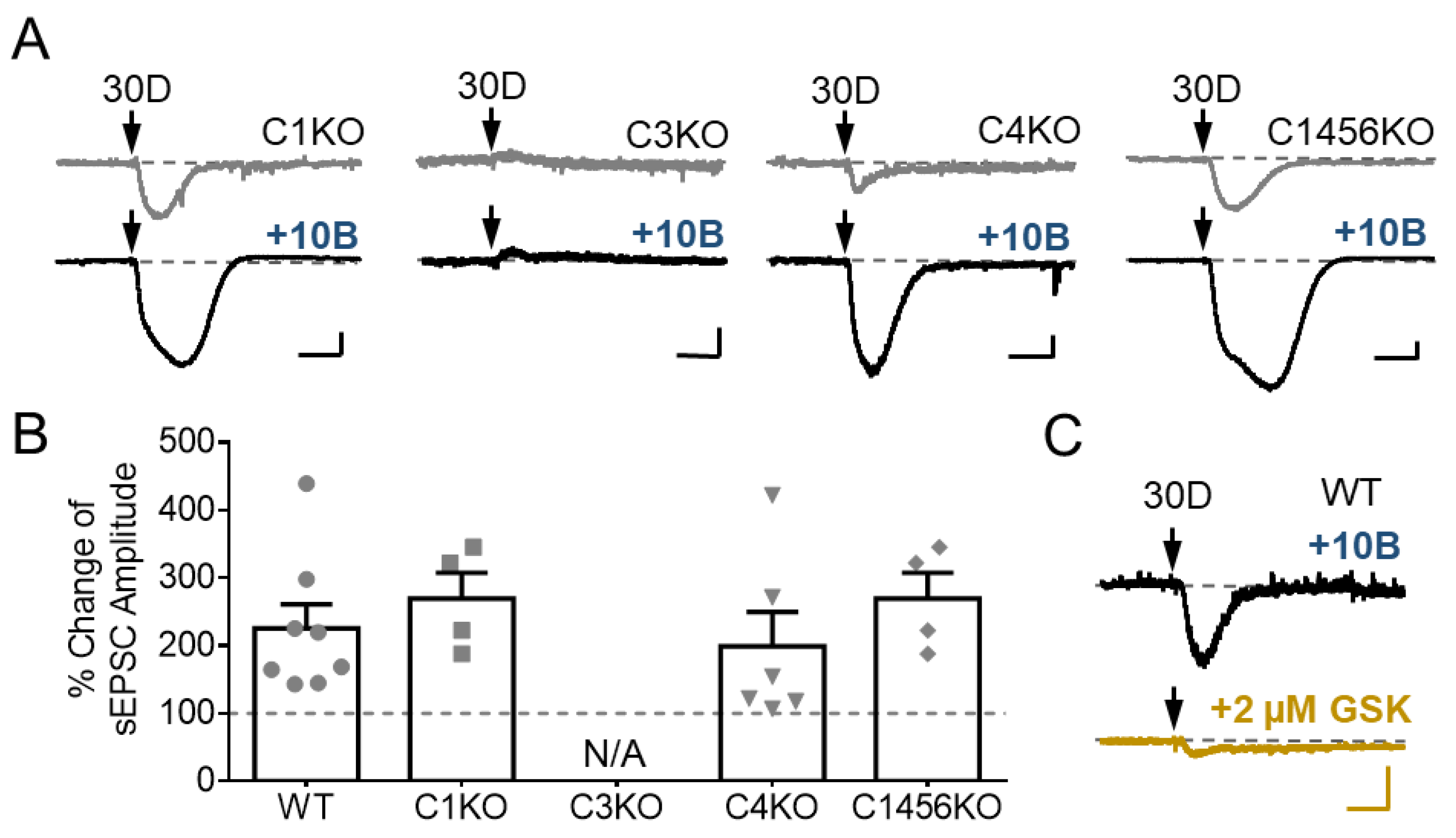 Cells 07 00090 g004