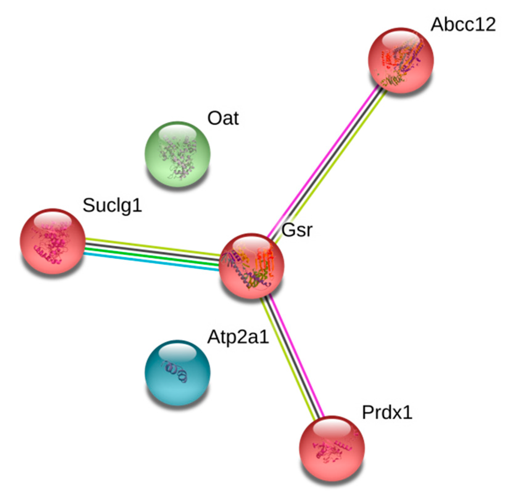 Cells 07 00091 g003 Cells 07 00091 g003
