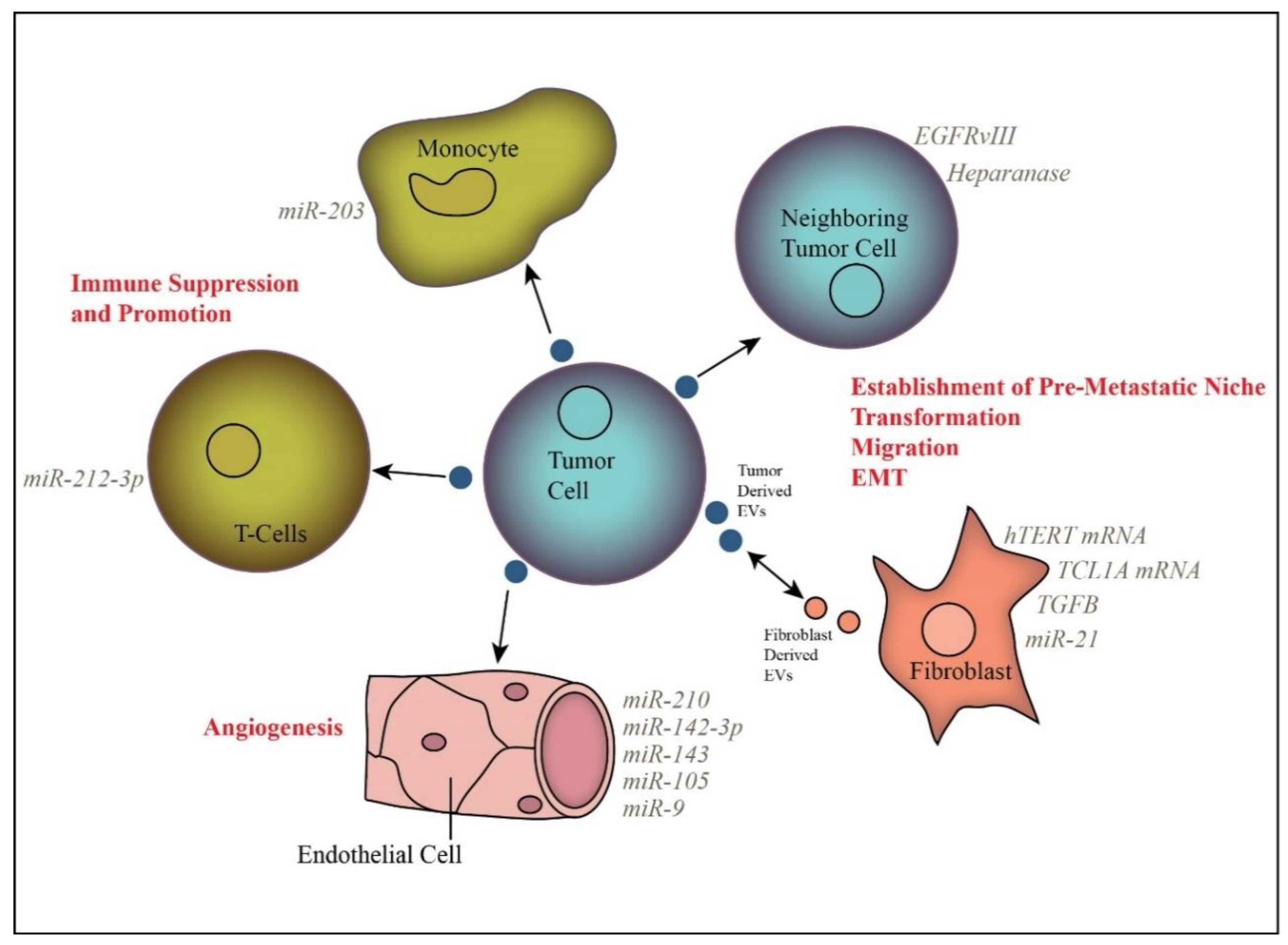 Cells 07 00093 g001 Cells 07 00093 g001