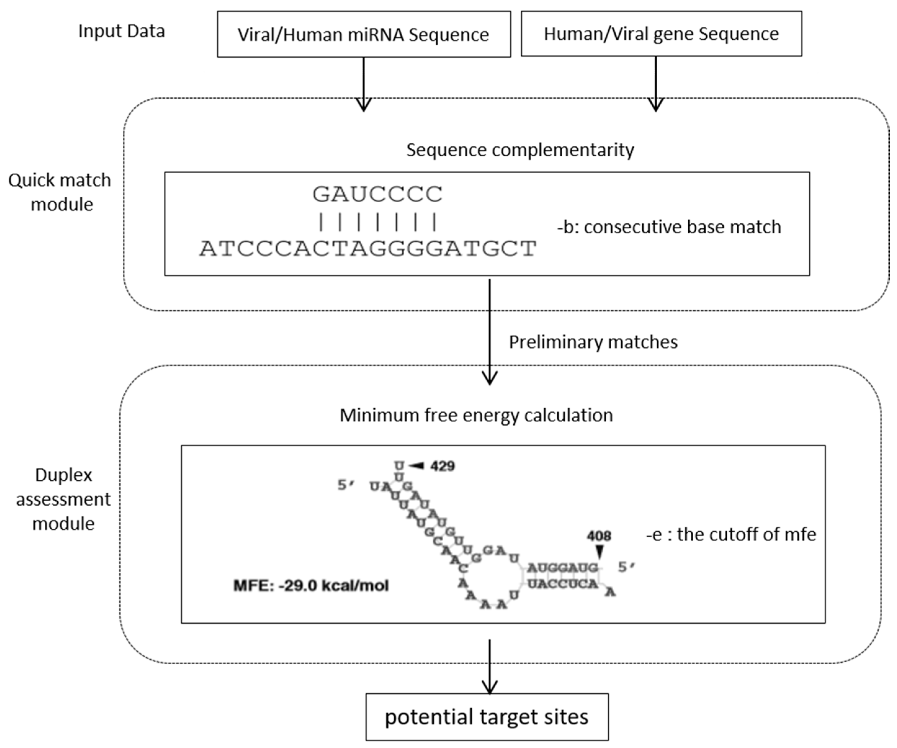 Cells 07 00100 g001 Cells 07 00100 g001