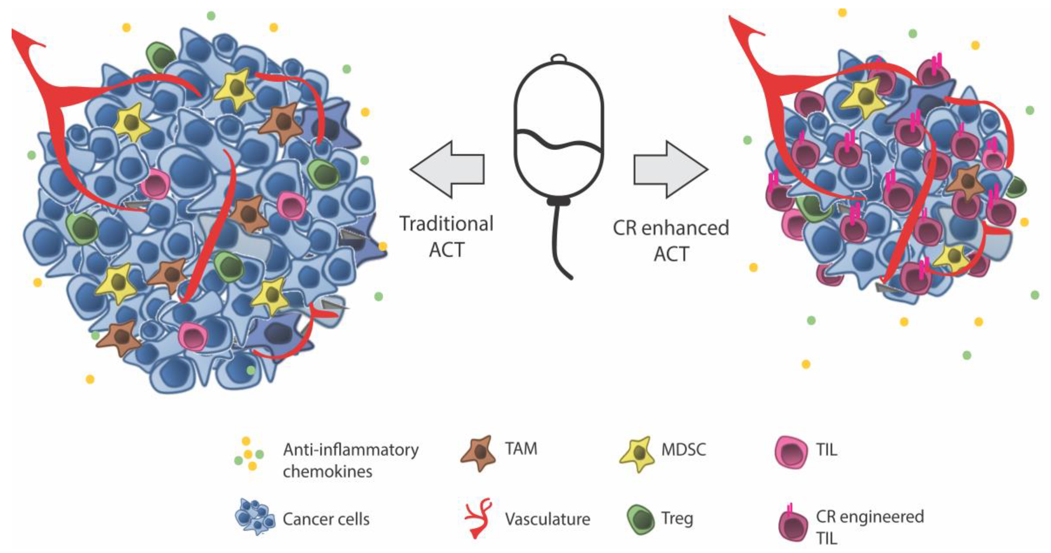 Cells 07 00108 g001