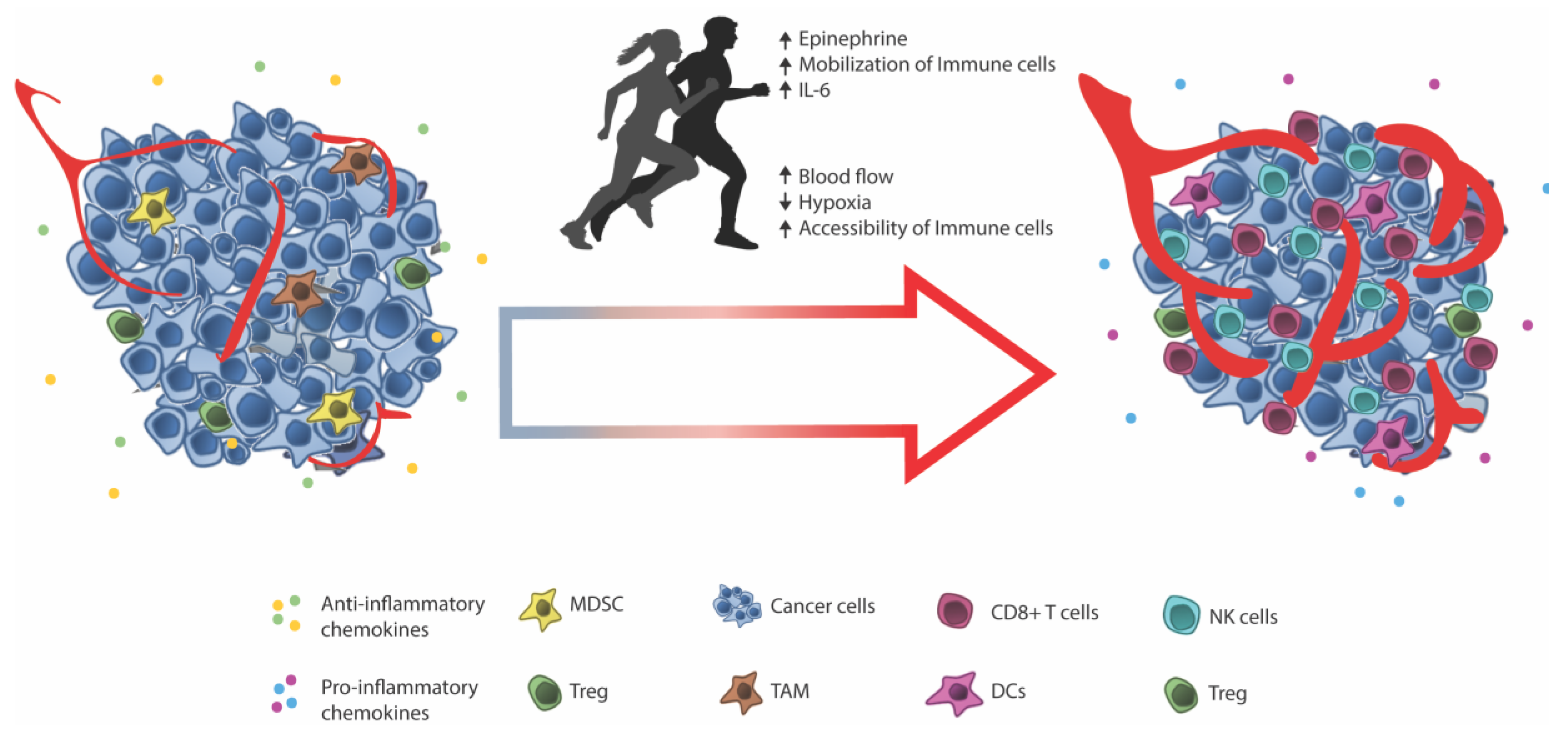 Cells 07 00108 g002