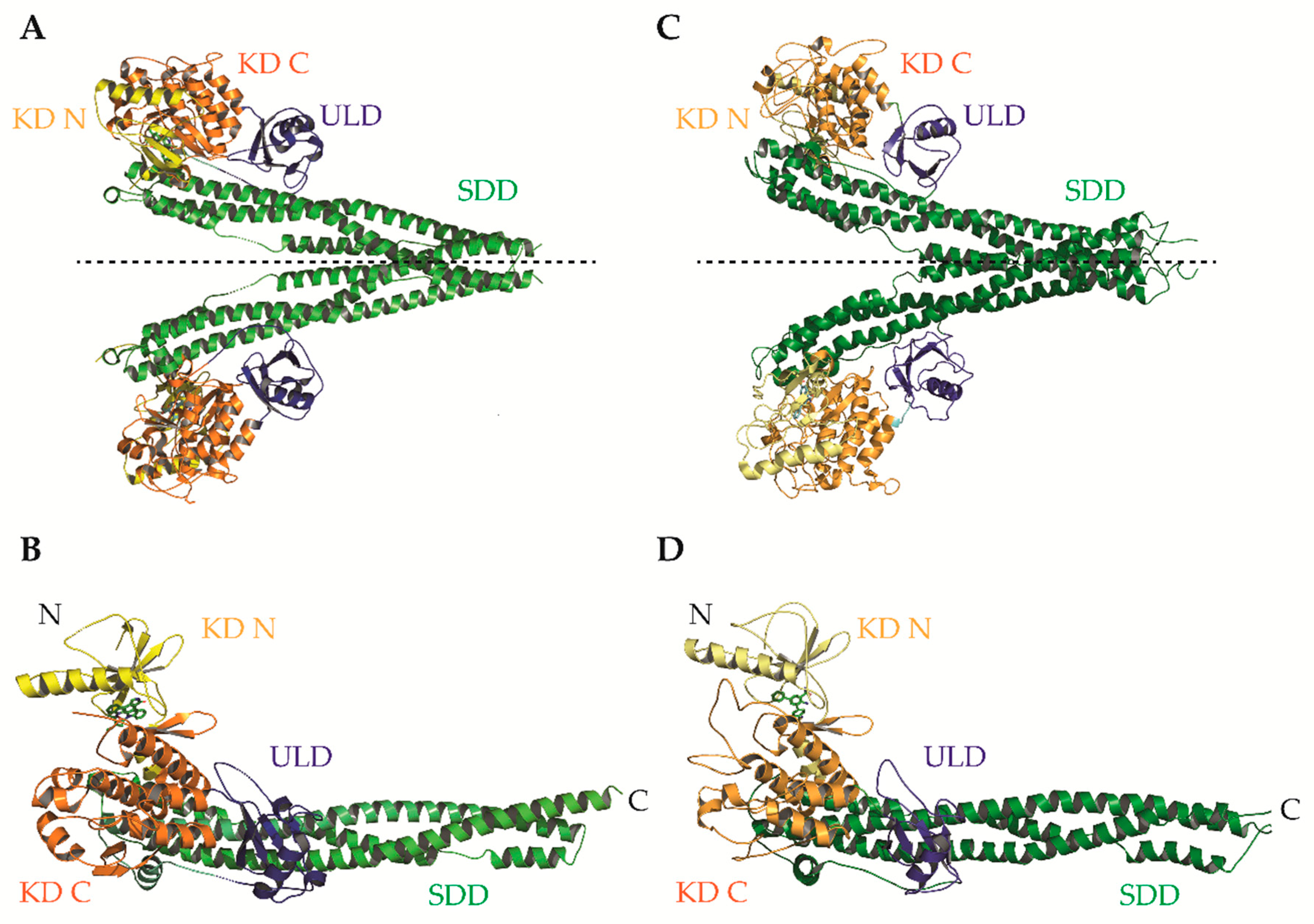 Cells 07 00115 g002