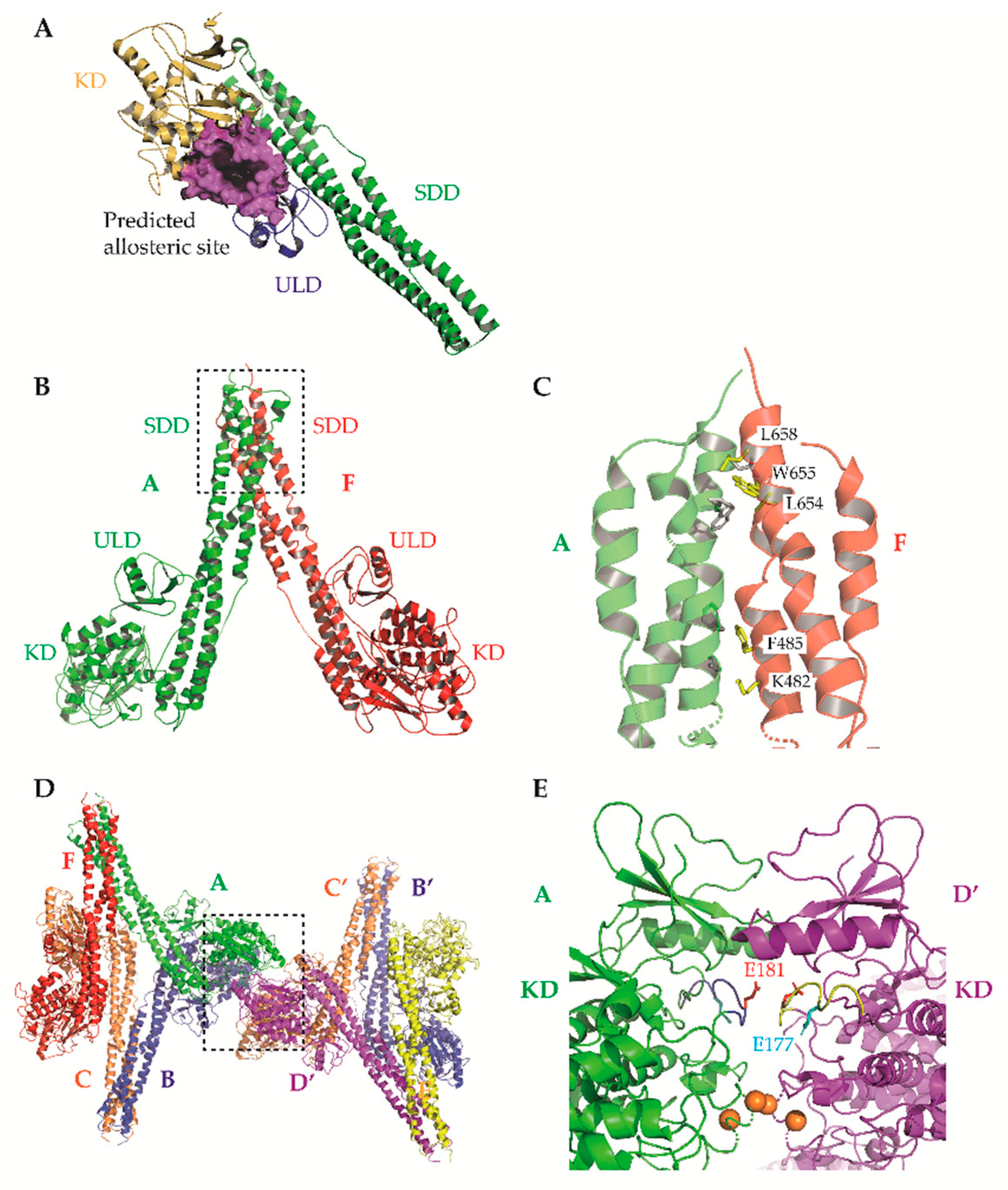 Cells 07 00115 g003
