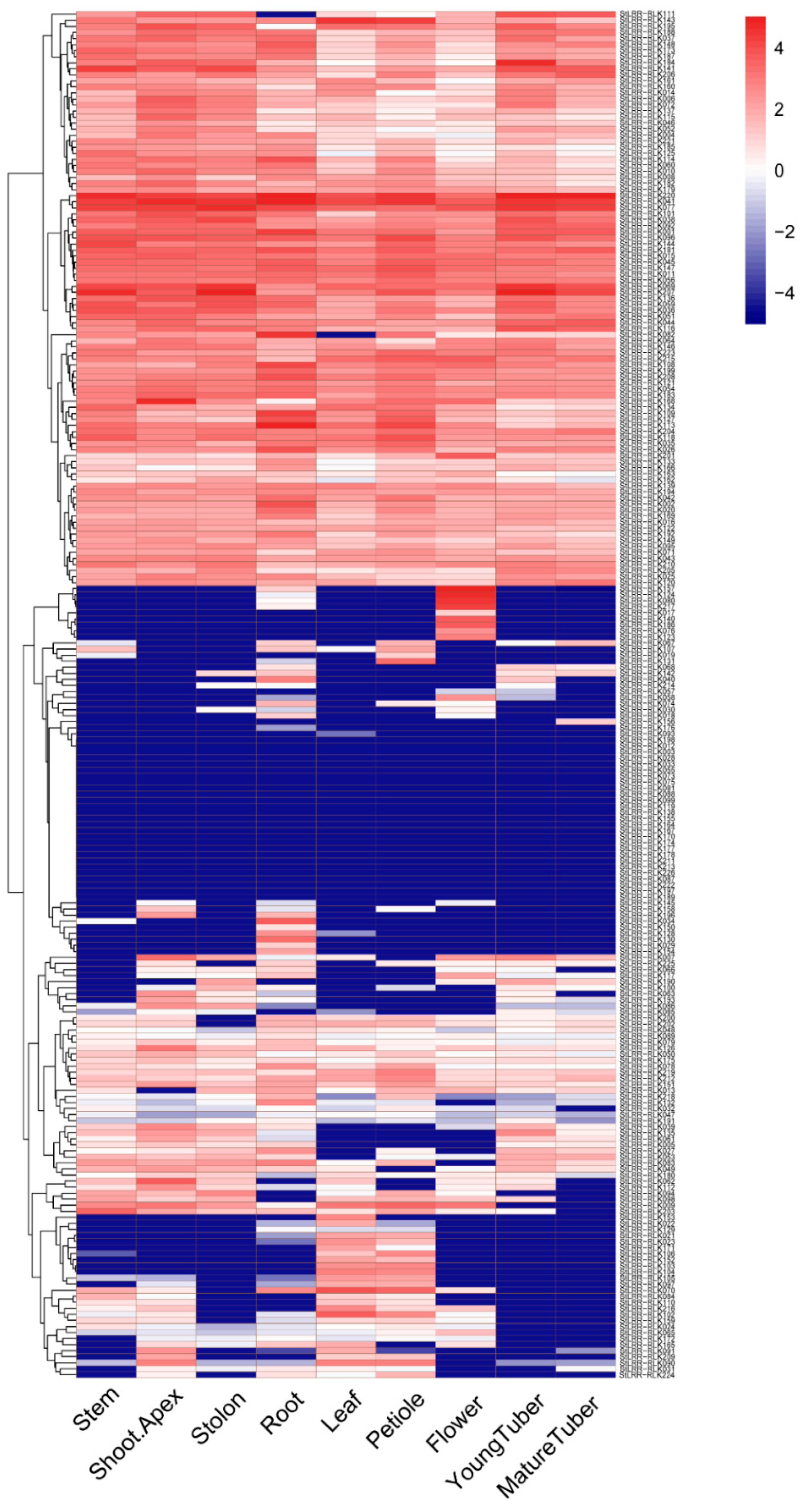 Cells 07 00120 g005