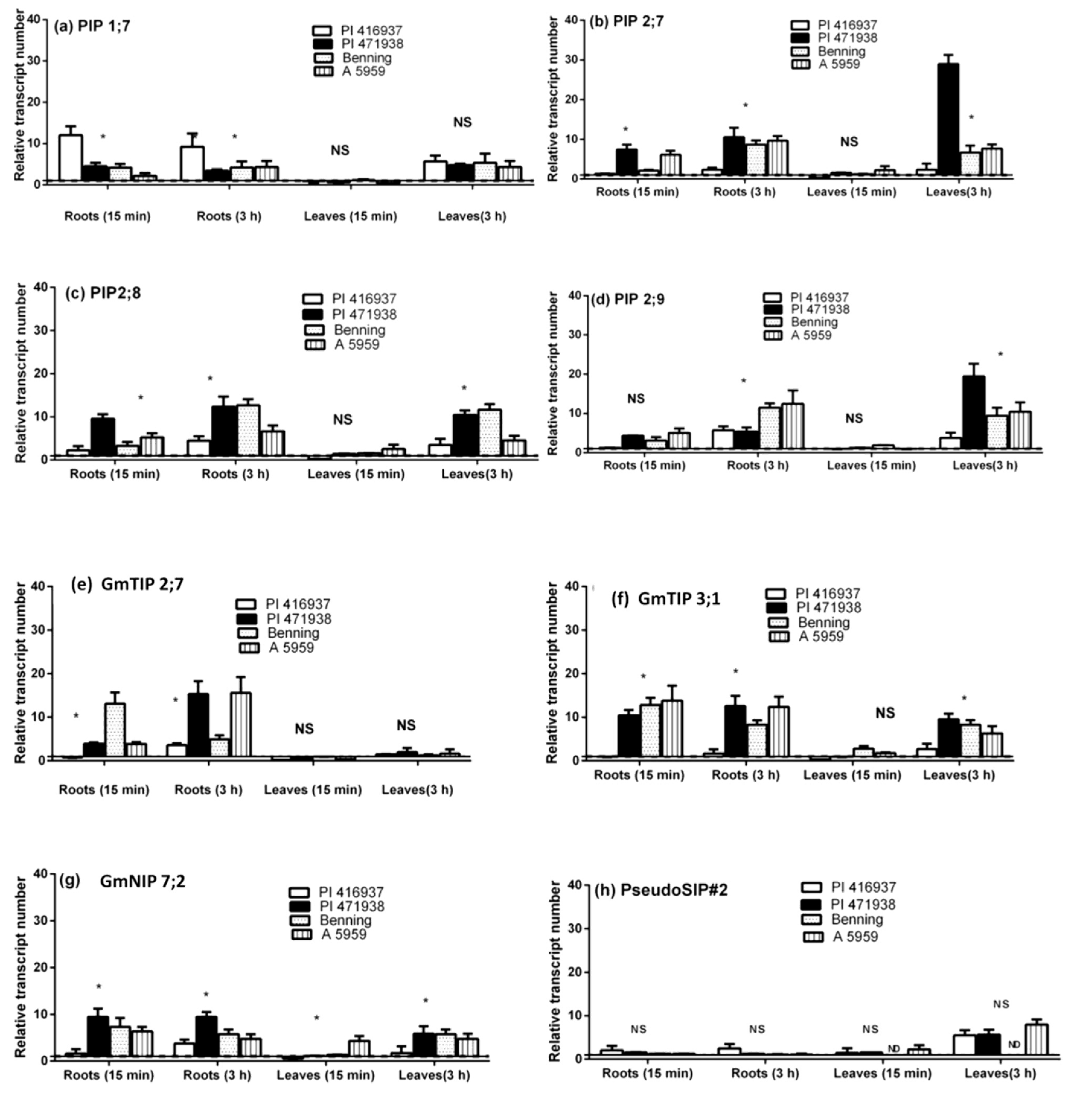 Cells 07 00123 g004