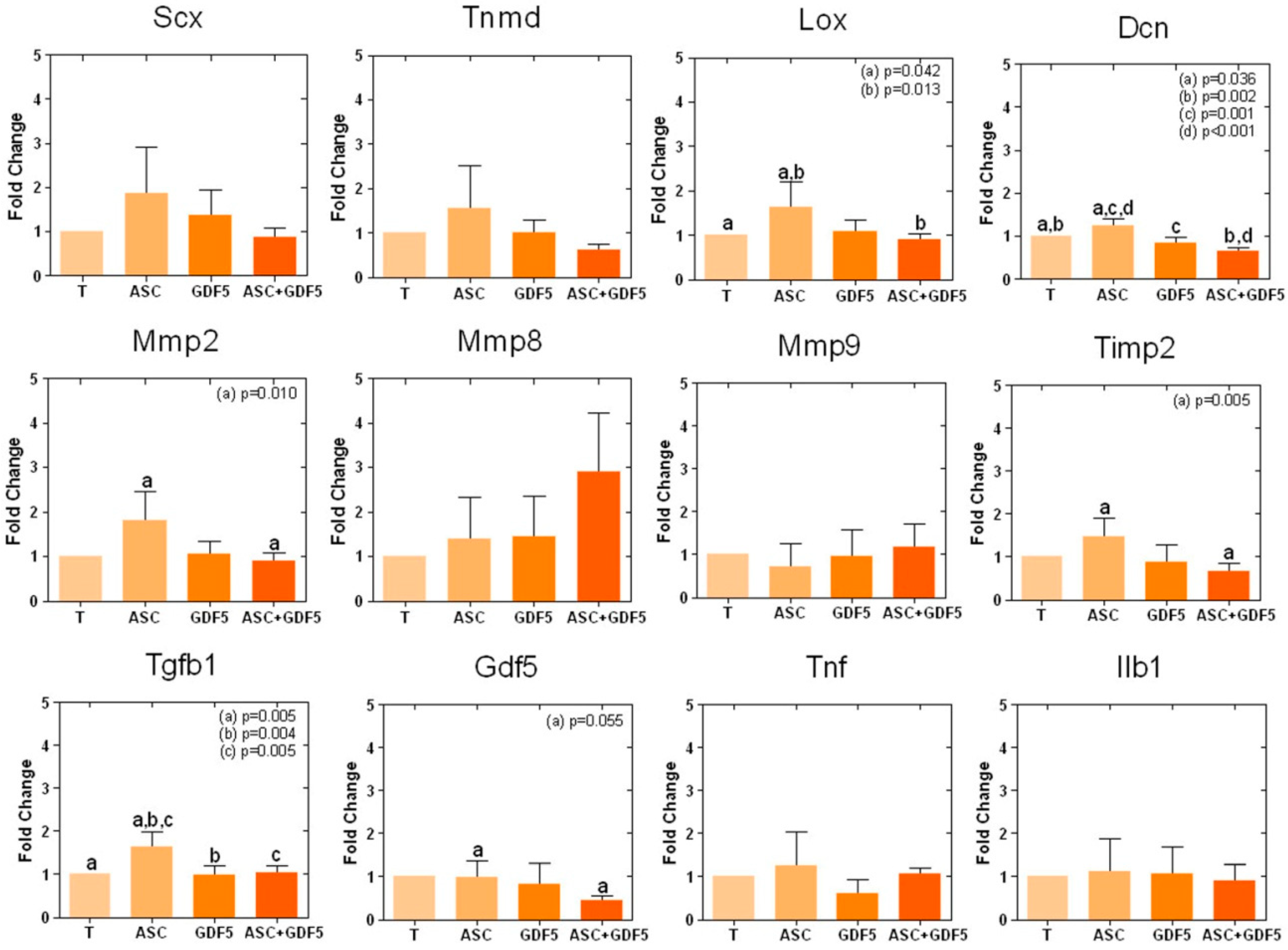 Cells 07 00127 g004 Cells 07 00127 g004