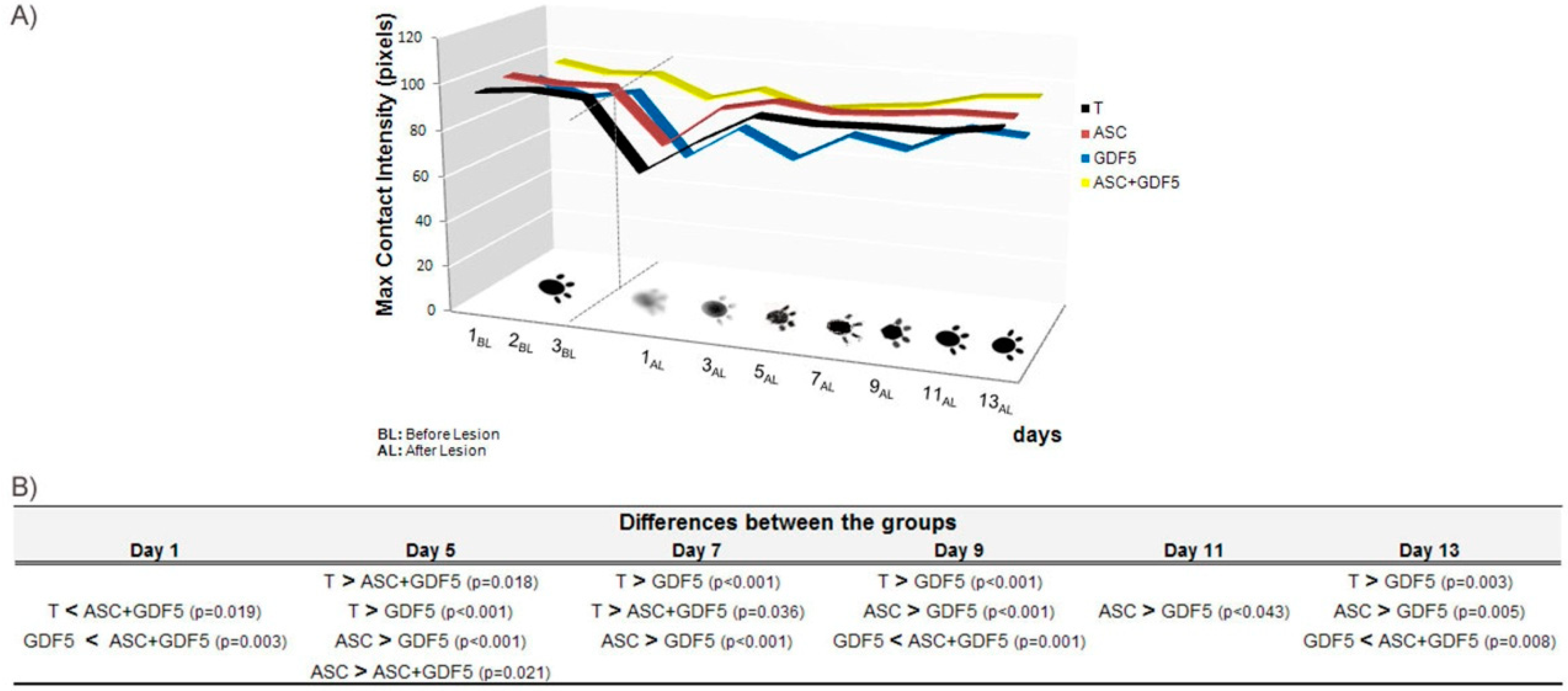 Cells 07 00127 g008 Cells 07 00127 g008