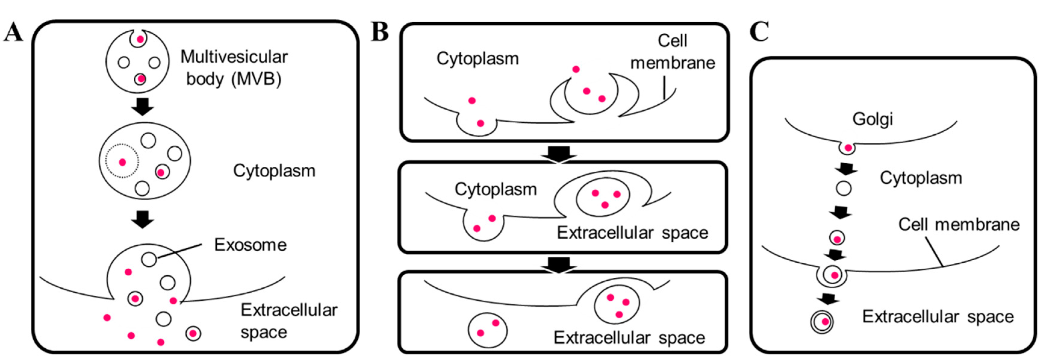 Cells 07 00128 g001 Cells 07 00128 g001