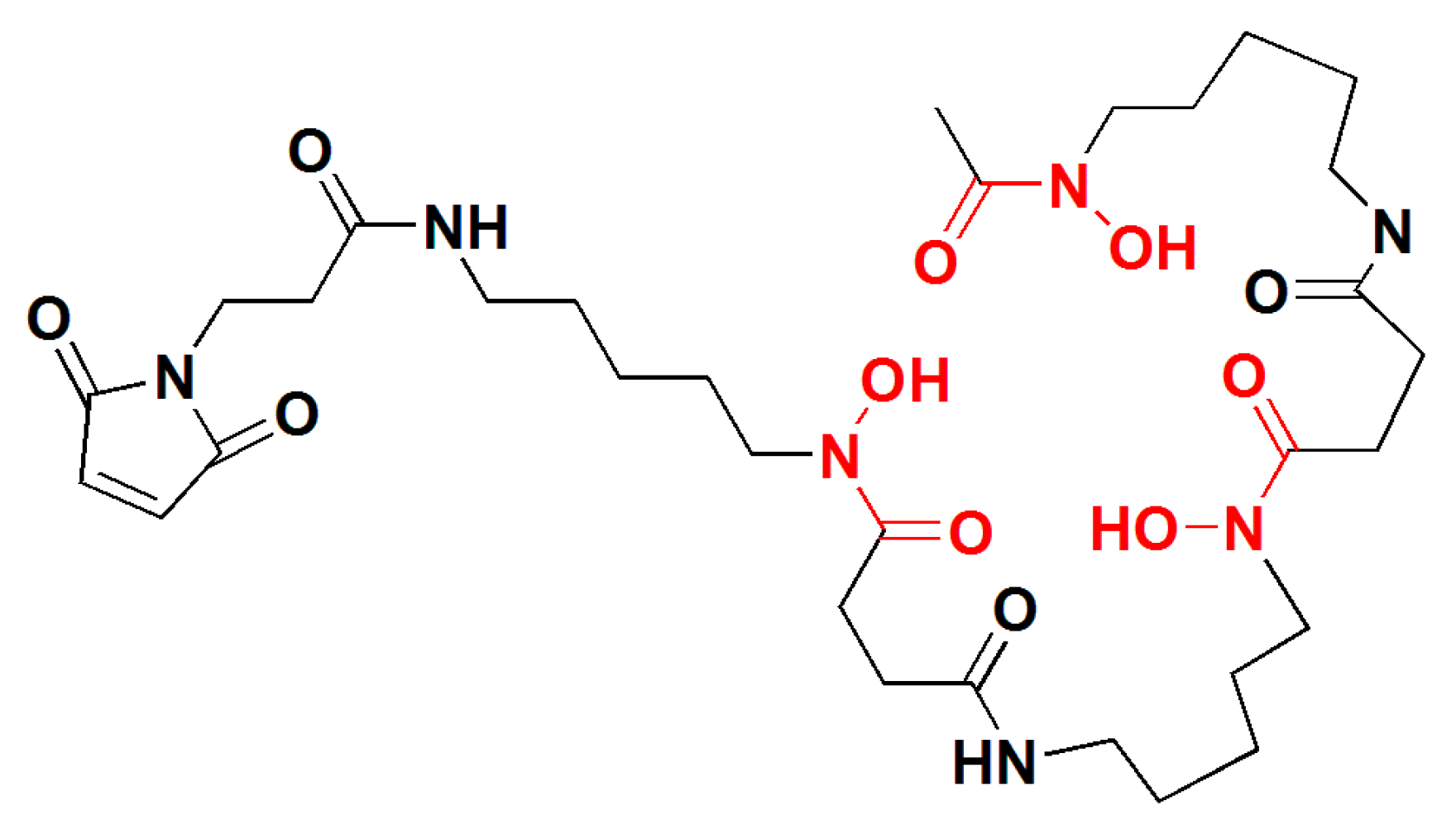 Cells 07 00141 g001