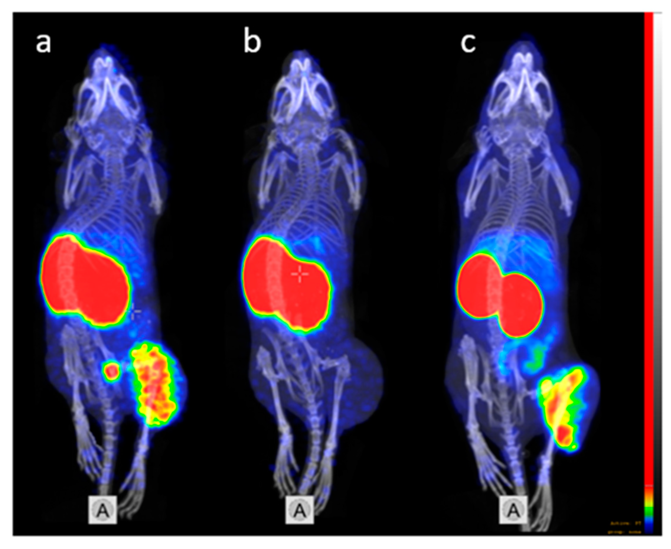 Cells 07 00141 g009