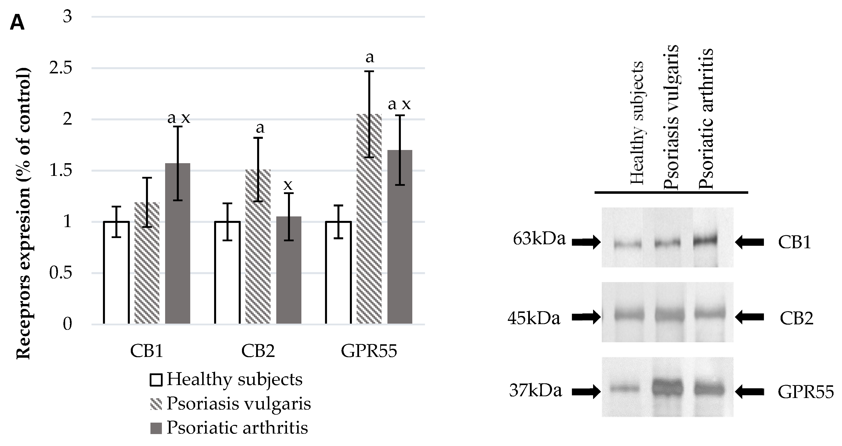 Cells 07 00159 g003a