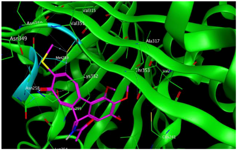 Cells 07 00192 i004
