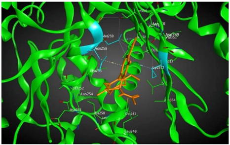Cells 07 00192 i008
