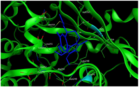Cells 07 00192 i014