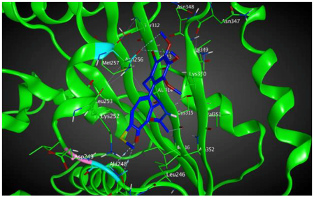 Cells 07 00192 i018