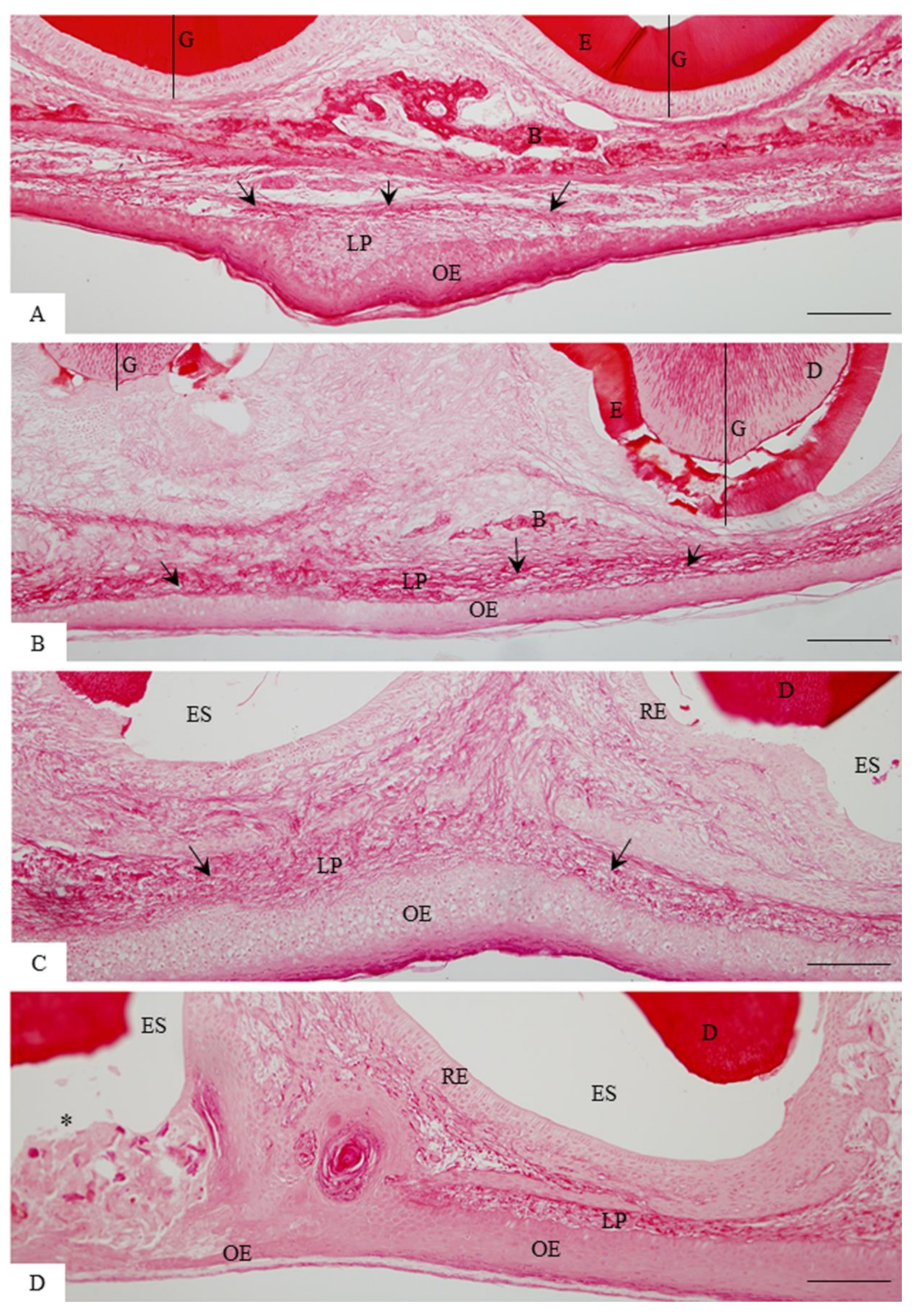 Cells 07 00206 g001 Cells 07 00206 g001