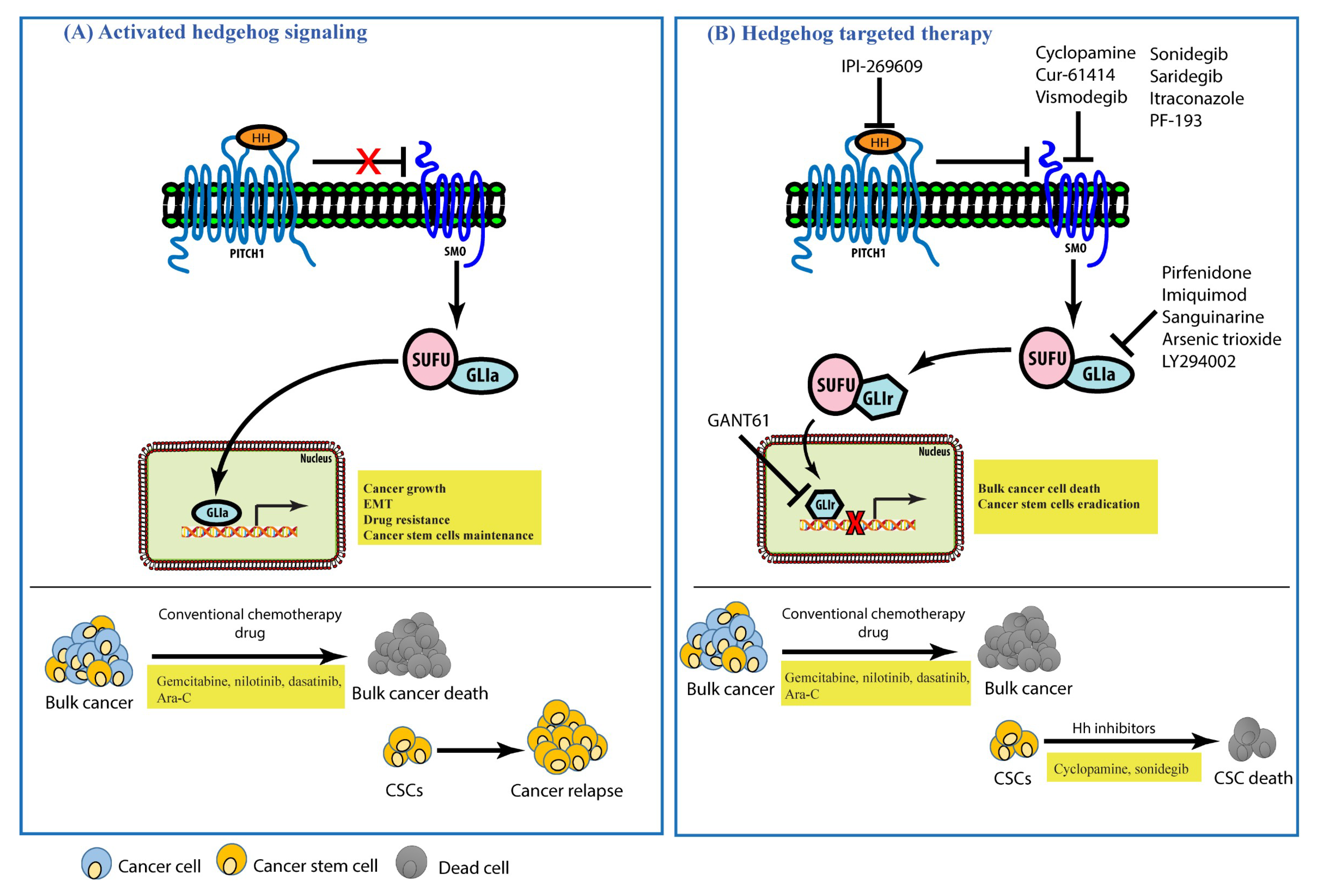 Cells 07 00208 g002 Cells 07 00208 g002