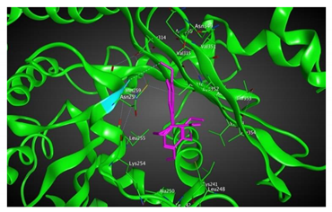 Cells 07 00216 i001 Cells 07 00216 i001