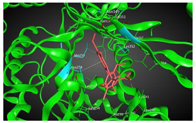 Cells 07 00216 i003 Cells 07 00216 i003