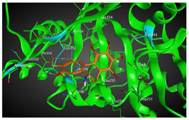 Cells 07 00216 i004 Cells 07 00216 i004