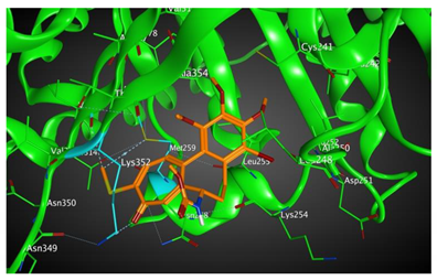 Cells 07 00216 i006 Cells 07 00216 i006