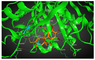 Cells 07 00216 i007 Cells 07 00216 i007