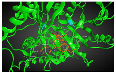 Cells 07 00216 i009 Cells 07 00216 i009